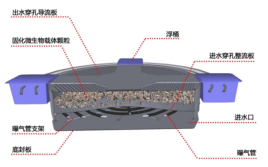 1647336489447066.png image.png