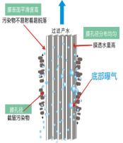 1647336631341487.png image.png