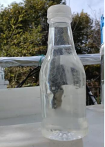 1649316622627577.png 1649316622627577.png