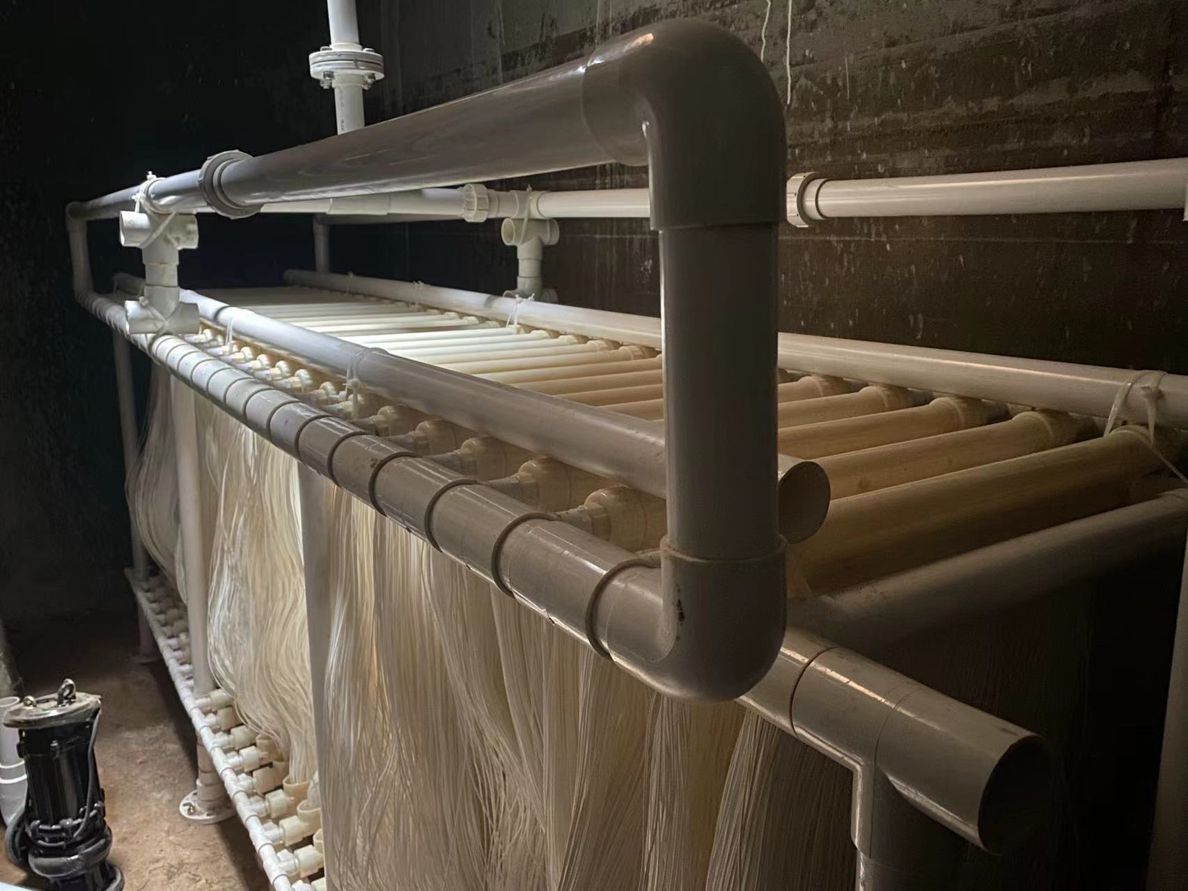 1660720395792770.jpg 1660720395792770.jpg